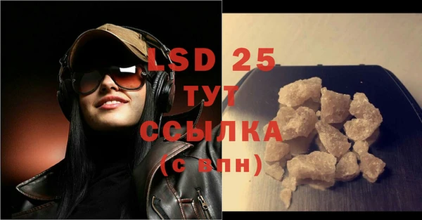 шишки Абаза