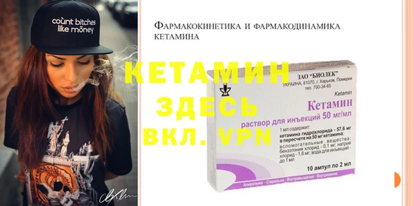 шишки Абаза