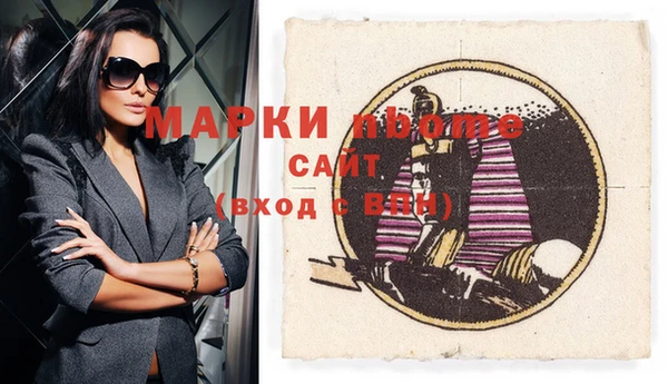 шишки Абаза