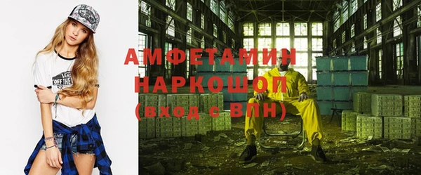 шишки Абаза