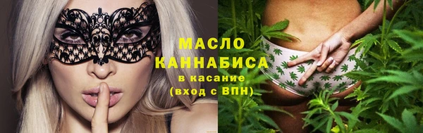шишки Абаза