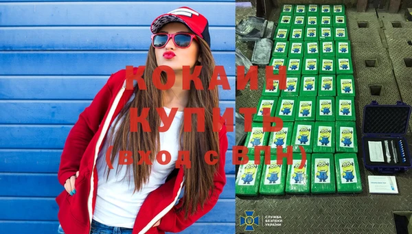 шишки Абаза
