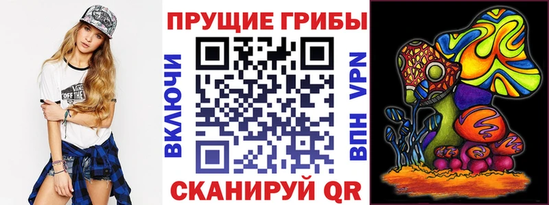 Псилоцибиновые грибы Cubensis  закладки  Алдан 